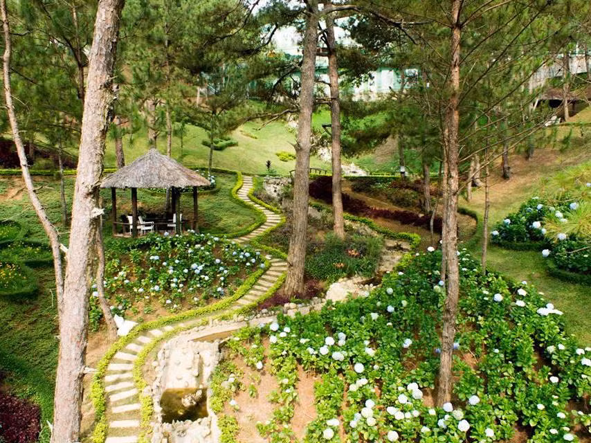 Đồi Mộng Mơ, cách trung tâm Đà Lạt khoảng 5 km, là một nơi lý tưởng để tránh xa sự ồn ào. Nơi đây không chỉ có không gian rộng lớn, thoáng đãng mà còn sở hữu nhiều cây cổ thụ, thảm cỏ xanh và không khí trong lành. Ảnh VinWonders