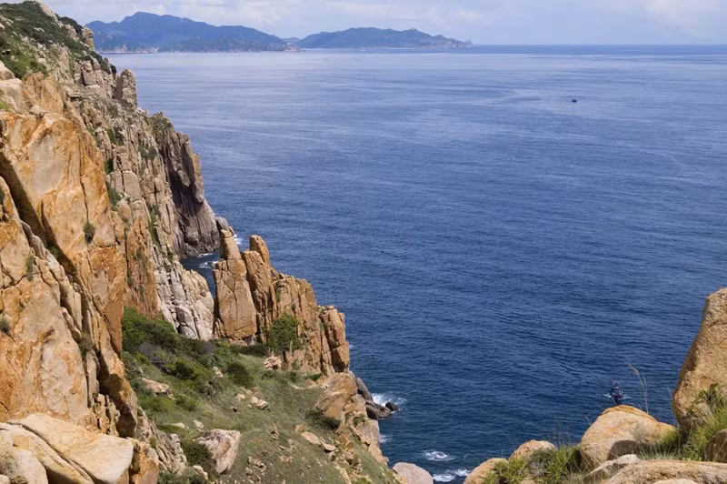 Bãi Đá Vách không chỉ có những vách đá kỳ vĩ mà còn sở hữu những vườn san hô đầy màu sắc, trải dài dưới làn nước trong suốt. Những dải san hô rực rỡ tô điểm thêm cho vẻ đẹp tự nhiên của nơi đây, khiến Bãi Đá Vách trở thành một thiên đường dưới nước cho những ai yêu thích lặn biển và khám phá hệ sinh thái biển phong phú. Ảnh dulichvietnam