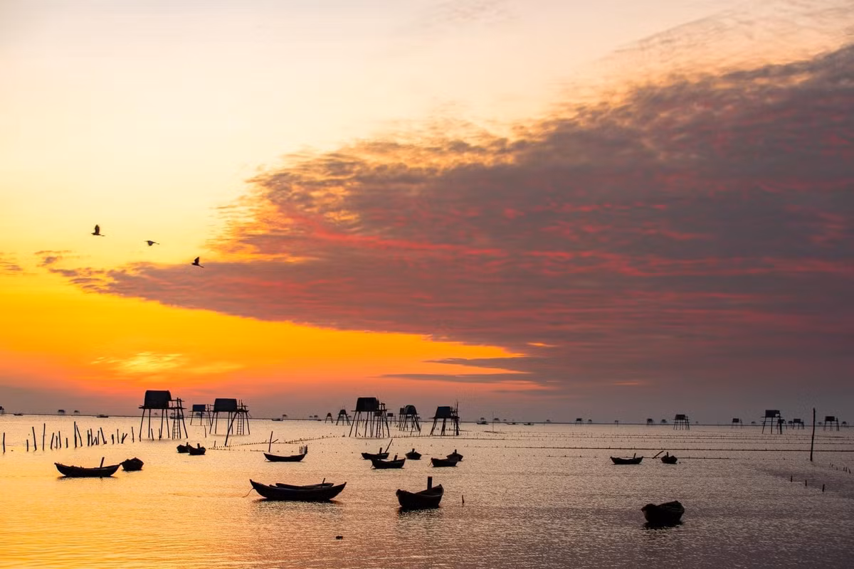 Tiếng ghe thuyền máy khẽ rì rào, tiếng gọi nhau í ới của ngư dân bắt đầu ngày mới, những chiếc nón lá thấp thoáng trên bãi bồi – tất cả hòa quyện như một bản giao hưởng nhẹ nhàng giữa thiên nhiên và con người.