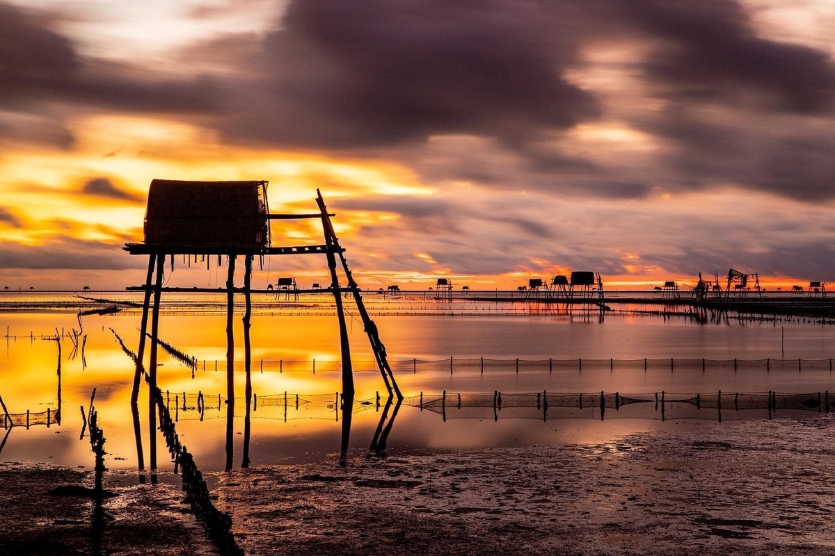 Nếu bạn là người yêu nhiếp ảnh, yêu thiên nhiên hay đơn giản chỉ muốn tìm một nơi để "reset" lại tâm hồn, thì khoảnh khắc bình minh trên biển Đồng Châu chắc chắn sẽ khiến bạn rung động.