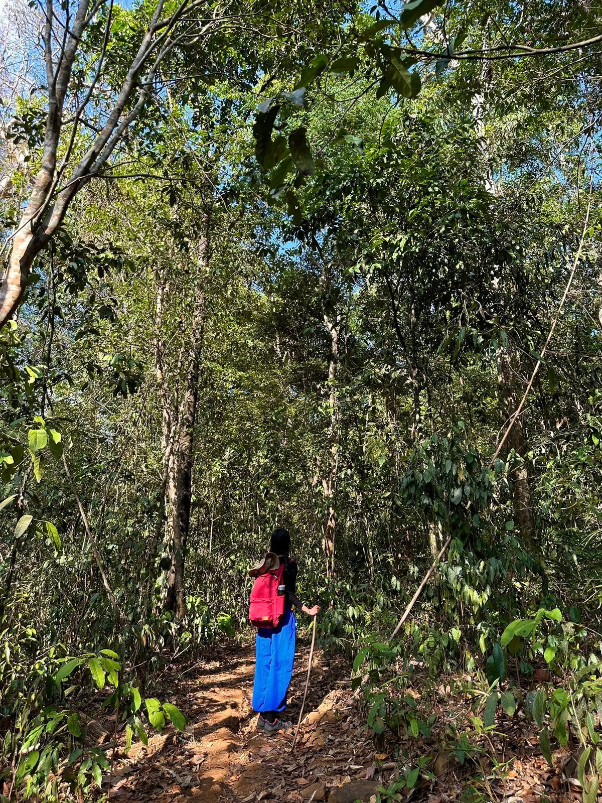 Bù Gia Mập đẹp – nhưng cũng rất mong manh. Mỗi người khi đến đây cần trở thành một phần của thiên nhiên, không xả rác, không làm ồn, không phá hoại môi trường sống của rừng. Hãy để vẻ đẹp siêu thực ấy tiếp tục tồn tại cho những người đến sau.