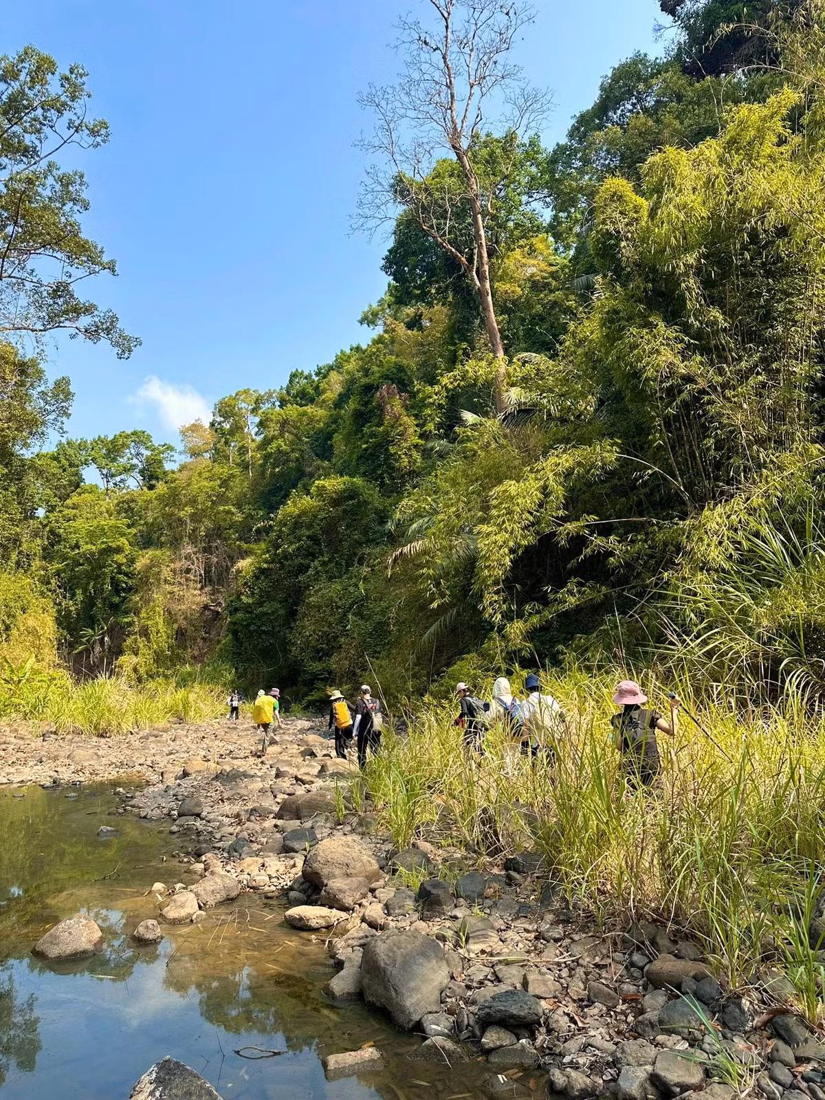 Trekking ở Bù Gia Mập là một hành trình không dành cho số đông, nhưng một khi đã bước vào, bạn sẽ mang theo những trải nghiệm sâu sắc, cảm xúc lắng đọng và một phần rừng già in đậm trong ký ức.