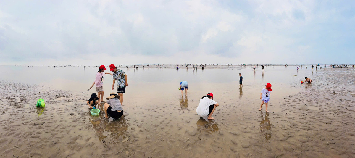 Bãi Hoàng Châu cách trung tâm thành phố Hải Phòng không xa, đường đi thuận tiện. Chi phí tham gia thấp, thậm chí không tốn vé vào cửa nếu đi tự túc. Đây là điểm cộng lớn khiến nhiều người lựa chọn nơi này thay vì các khu nghỉ dưỡng đắt đỏ trong kỳ nghỉ. Ảnh Quyền
