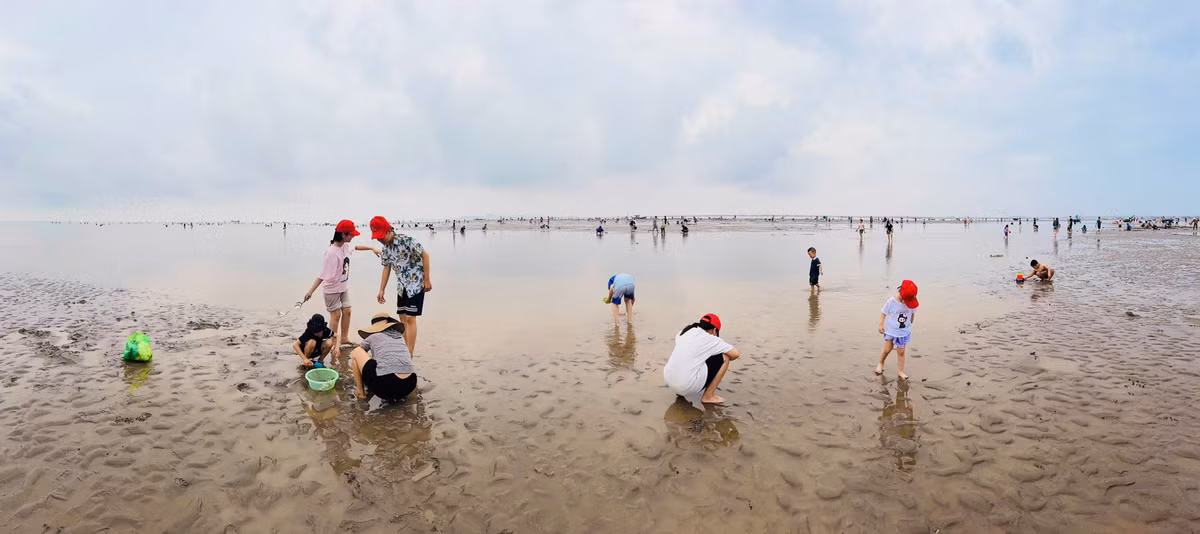 Bãi Hoàng Châu cách trung tâm thành phố Hải Phòng không xa, đường đi thuận tiện. Chi phí tham gia thấp, thậm chí không tốn vé vào cửa nếu đi tự túc. Đây là điểm cộng lớn khiến nhiều người lựa chọn nơi này thay vì các khu nghỉ dưỡng đắt đỏ trong kỳ nghỉ. Ảnh Quyền