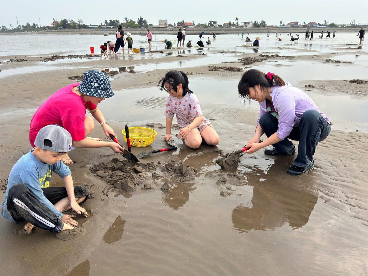Trẻ em được thỏa thích nghịch cát, tìm hiểu về sinh vật biển; người lớn thì cùng nhau làm việc, nói cười rôm rả. Ảnh Hong Vu