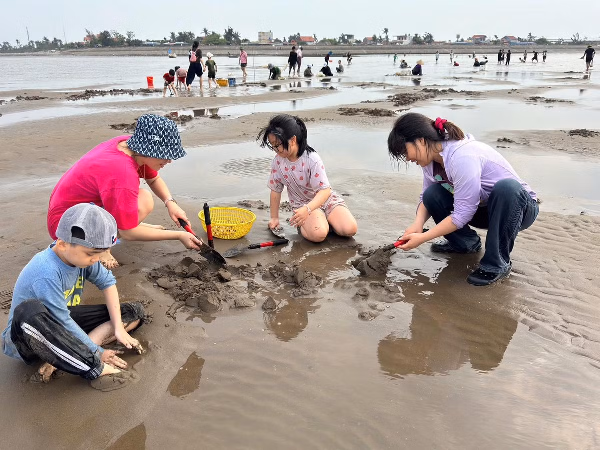 Trẻ em được thỏa thích nghịch cát, tìm hiểu về sinh vật biển; người lớn thì cùng nhau làm việc, nói cười rôm rả. Ảnh Hong Vu