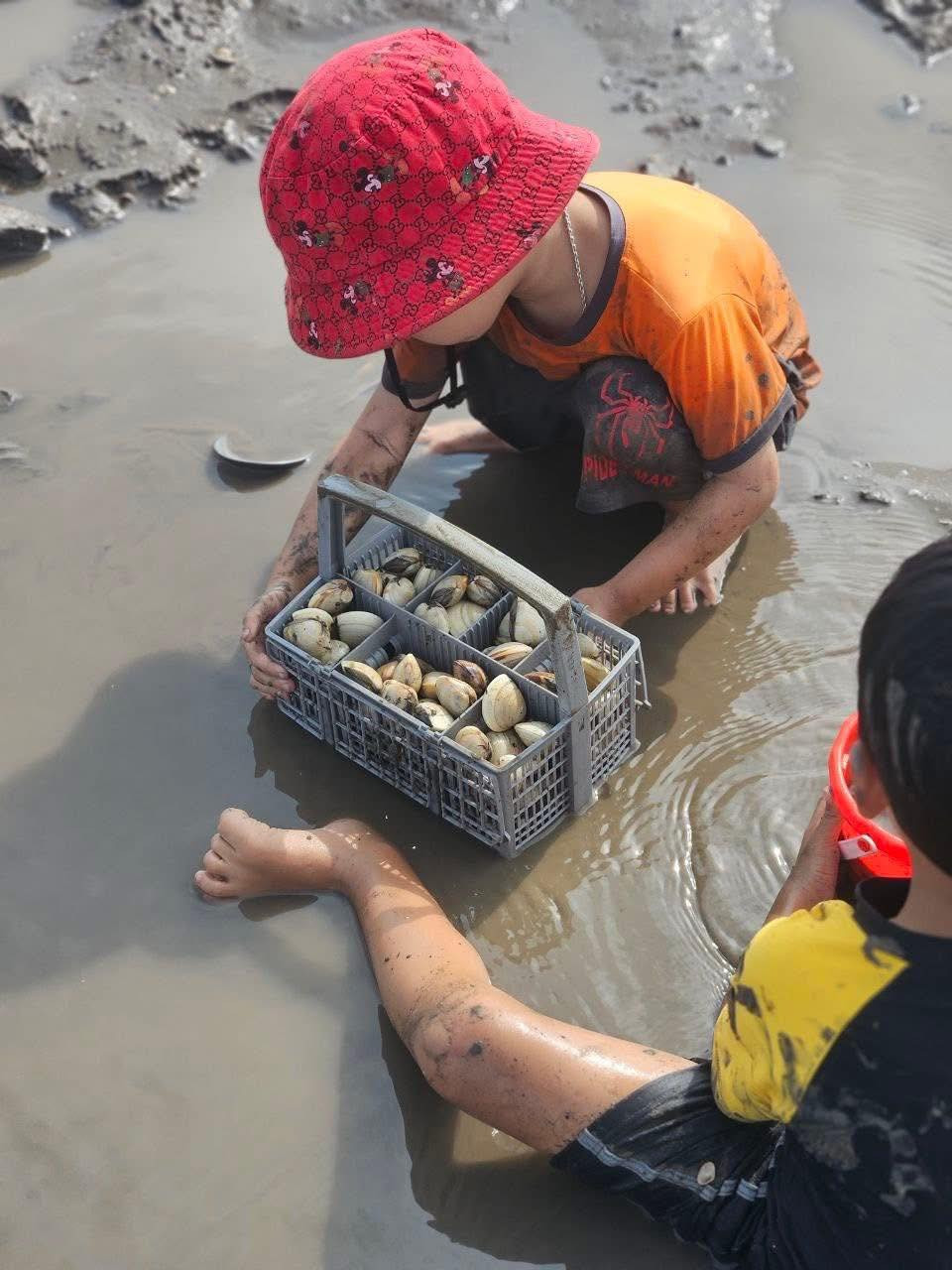 Không phân biệt người lớn hay trẻ nhỏ, ai cũng có thể tham gia cào ngao. Ảnh Hải Phòng