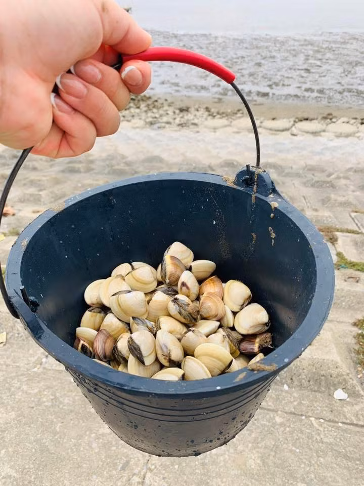 Với sự kết hợp giữa thiên nhiên, ẩm thực và văn hóa bản địa, nơi đây đang dần khẳng định sức hút riêng biệt của mình trên bản đồ du lịch biển miền Bắc. Ảnh Hải Phòng