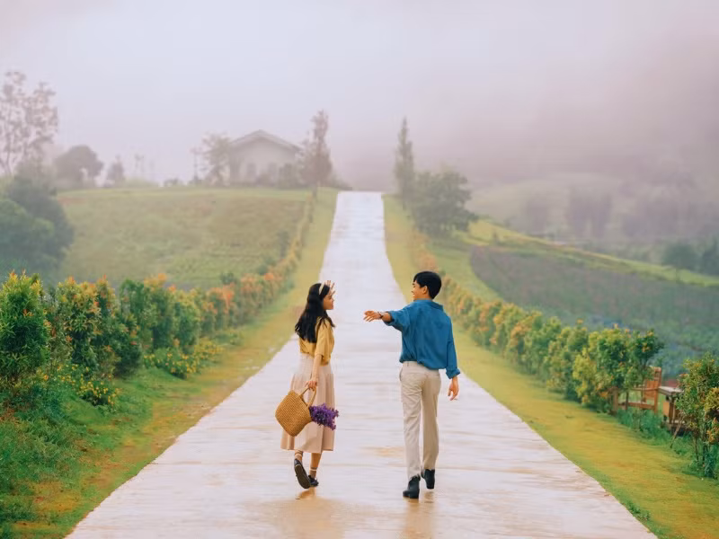 Đà Lạt từ lâu đã là lựa chọn hàng đầu cho những ai tìm kiếm sự thanh tịnh và bình yên. Thành phố này không chỉ nổi tiếng với không khí mát mẻ quanh năm, mà còn với những cảnh đẹp tựa tranh vẽ, từ hồ Xuân Hương, vườn hoa, cho đến những đồi thông bạt ngàn. Ảnh AGO Tourist