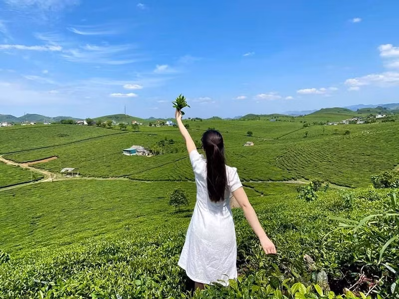 Những đồi chè xanh mướt, những vườn mận, đào, hoa cải trắng ngát... tạo nên một không gian tuyệt vời để bạn thư giãn và quên đi những căng thẳng trong cuộc sống. Du khách có thể trải nghiệm làm nông, thăm các bản làng người Mông, hoặc nghỉ ngơi tại các homestay sinh thái, nơi mọi thứ đều gắn liền với thiên nhiên. Ảnh Tico Travel