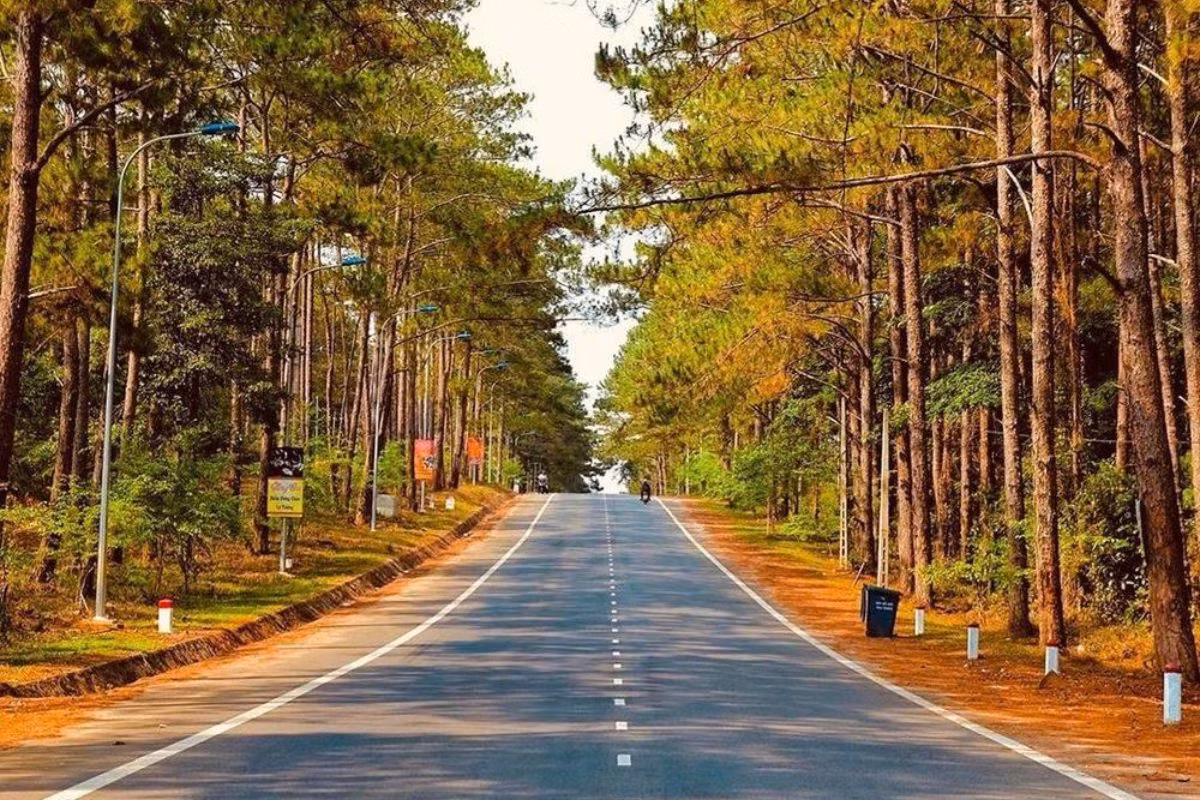 Để đến Thác Pa Sỹ, du khách có thể di chuyển từ trung tâm thành phố Kon Tum, qua QL24 đến Măng Đen, rồi từ đó tiếp tục di chuyển theo đường rừng khoảng 20 km. Ảnh Locker