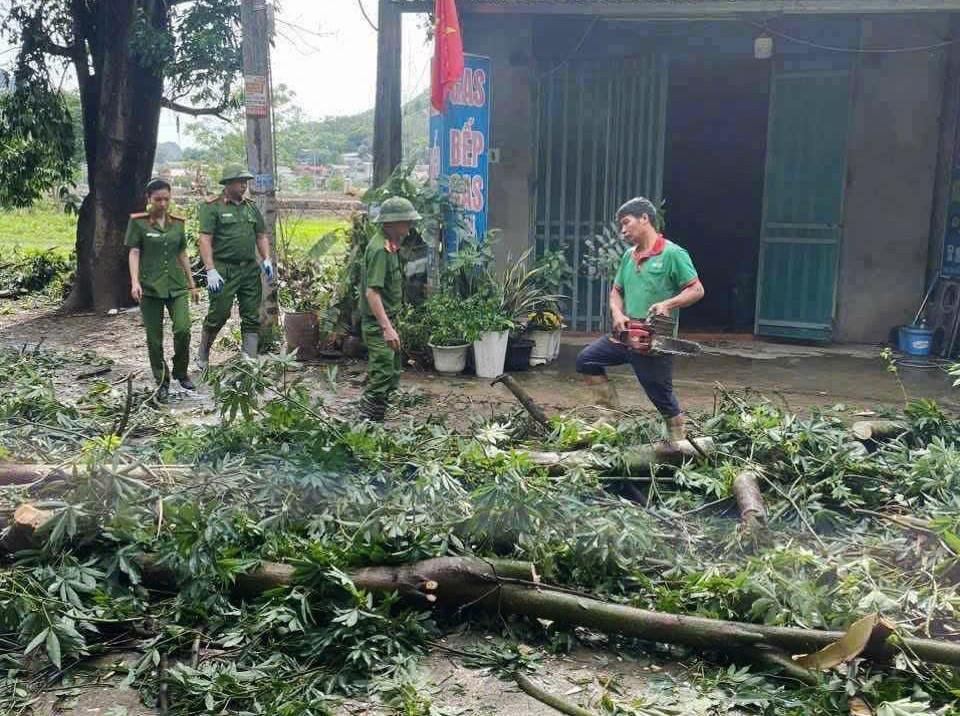 Mua dong lon khien cay da co thu bat goc de bep o to con-Hinh-2