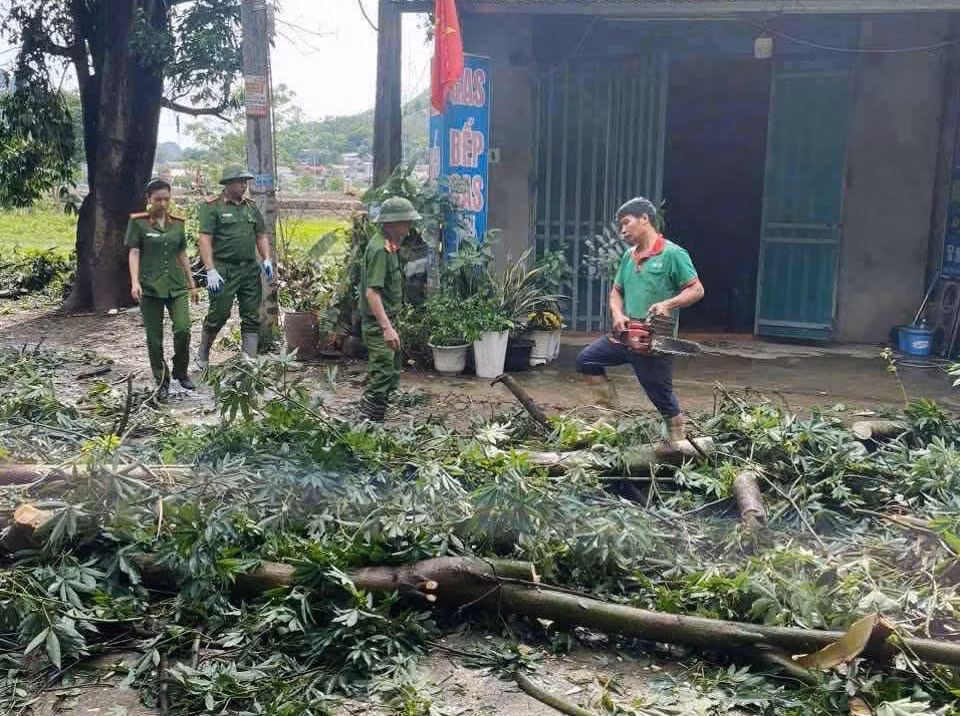 Mưa dông lớn khiến cây đa cổ thụ bật gốc đè bẹp ô tô con - Hình 2 Mua dong lon khien cay da co thu bat goc de bep o to con-Hinh-2