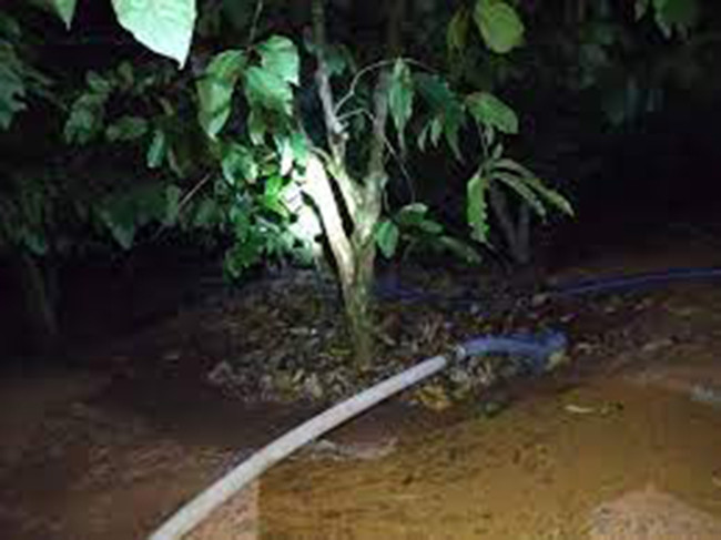 Thông tin ban đầu từ người dân địa phương, chị Hồng có lối sống ôn hòa với xóm làng, không có hiềm khích, mâu thuẫn cá nhân. Vụ án xảy ra vào đêm tối, khu vực rẫy vắng với địa bàn rộng gây khó khăn cho cơ quan Công an trong hoạt động điều tra, truy tìm hung thủ. (Ảnh ninh họa, nguồn ảnh Internet) 