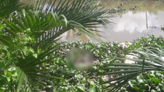  Đi bắt cá, tá hỏa phát hiện thi thể bé gái sơ sinh còn nguyên dây rốn: Chiều 14/9, theo thông tin từ UBND xã Vĩnh Hậu A (huyện Hòa Bình, tỉnh Bạc Liêu), người dân trên địa bàn vừa phát hiện một thi thể bé gái còn nguyên dây rốn trôi trên sông. Theo thông tin ban đầu, vào khoảng 9h sáng cùng ngày, người dân địa phương phát hiện một thi thể trôi trên sông Giồng Tra nên đã trình báo với cơ quan chức năng. Qua xác minh bước đầu, thi thể là một bé gái mới sinh còn nguyên dây rốn, có thể đã tử vong khoảng 2 ngày. 