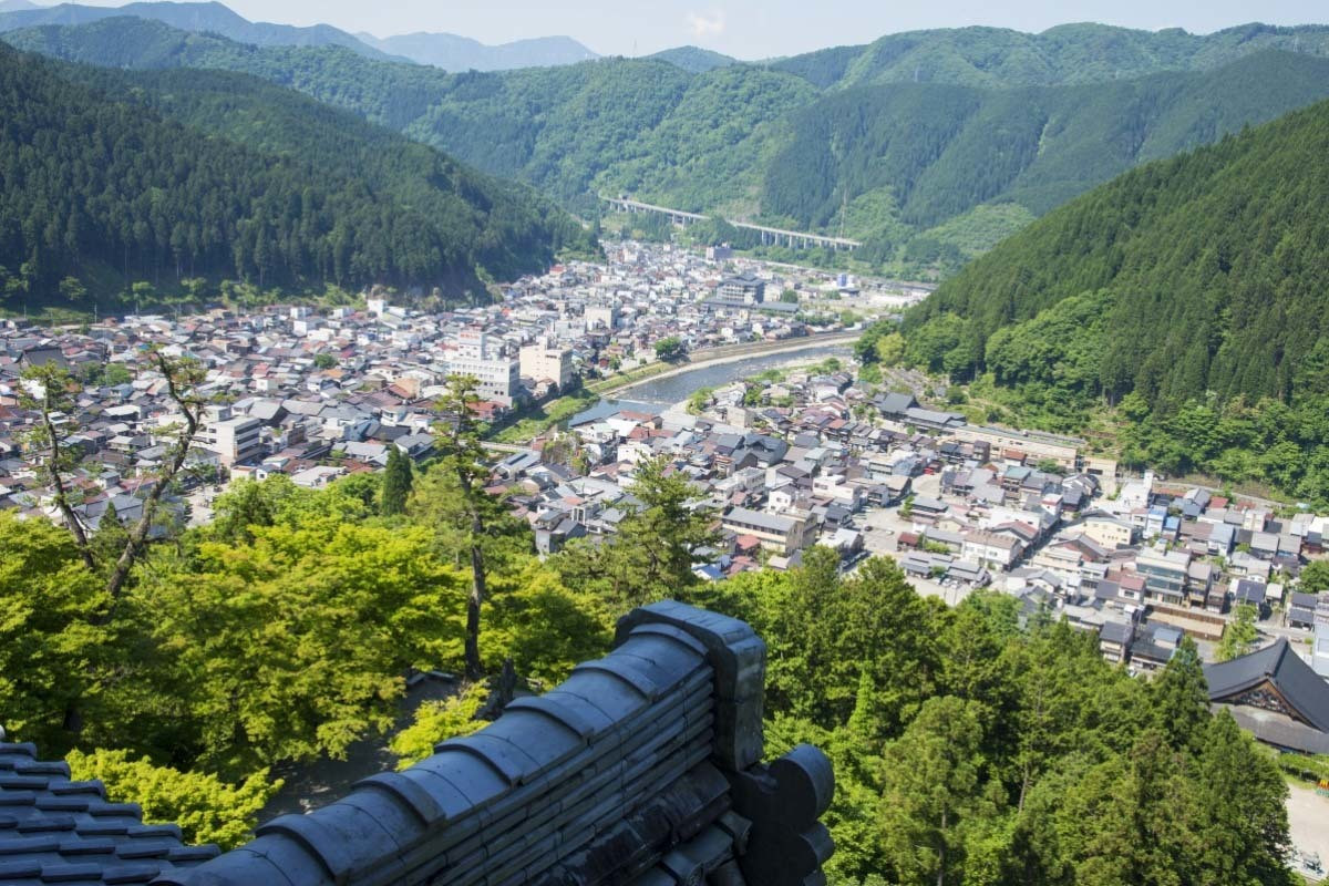 Xung quanh lâu đài Gujo Hachiman có các tháp canh. Khi đứng ở đây, du khách có thể phóng tầm mắt ngắm nhìn vẻ đẹp của thị trấn phía dưới cũng như dãy núi Okumino hùng vĩ, xanh bạt ngàn ở gần đó.