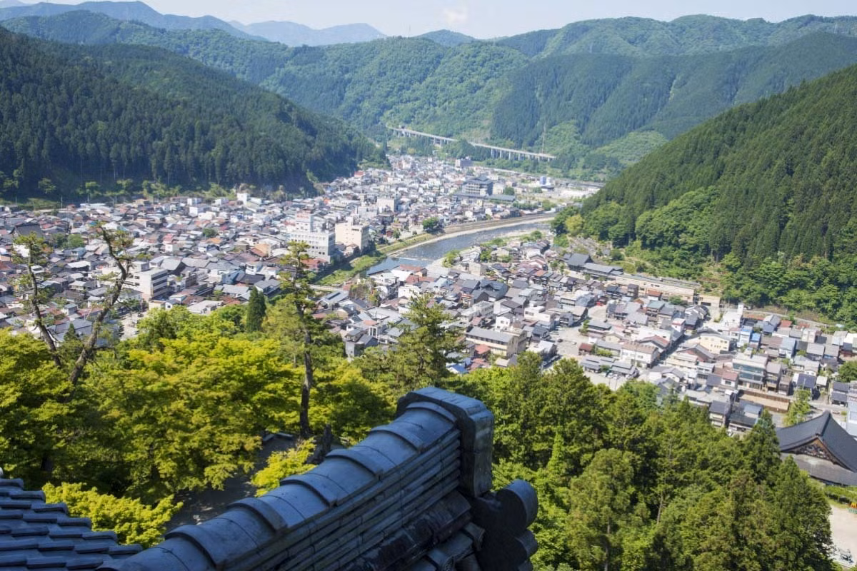 Xung quanh lâu đài Gujo Hachiman có các tháp canh. Khi đứng ở đây, du khách có thể phóng tầm mắt ngắm nhìn vẻ đẹp của thị trấn phía dưới cũng như dãy núi Okumino hùng vĩ, xanh bạt ngàn ở gần đó.