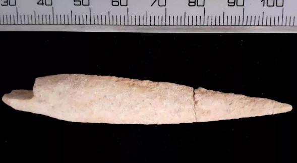 Các nhà khảo cổ học đã khai quật được một đầu mũi tên bằng xương ở thành phố Gath cổ đại (ngày nay là lãnh thổ Israel), Đây cũng là quê hương của người khổng lồ Goliath.