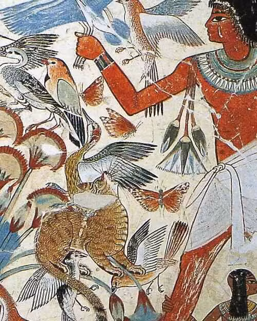 Người Ba Tư biết được Ai Cập tôn sùng loài mèo. Bất cứ ai gây ra cái chết của mèo dù là vô tình hay cố ý đều đối mặt với án tử hình. Do đó, hoàng đế Cambyses sử dụng những con mèo làm "vũ khí sống" khiến binh sĩ Ai Cập run sợ, không dám tấn công.