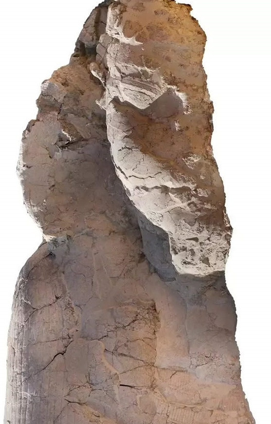 Hai bức tượng nhân sư có chiều dài 7,9m và tạc gương mặt của pharaoh Amenhotep III trong hình dạng của một nhân sư với chiếc mũ sọc đội trên đầu, bộ râu hoàng gia và đeo một chiếc vòng cổ rộng.