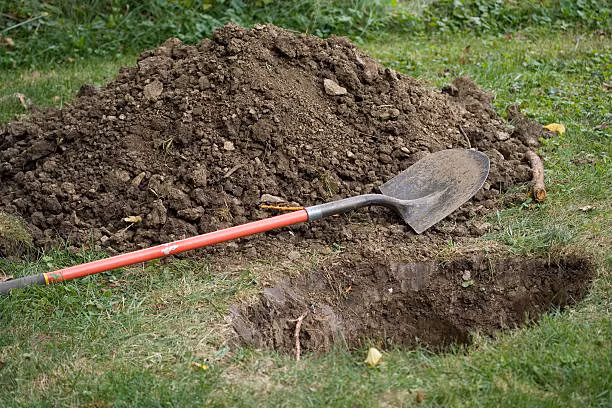 Do vậy, khi nhìn thấy cây liễu bên cạnh mộ, những kẻ trộm mộ sẽ biết được đó là nơi chôn cất những người bình thường. Họ thường được mai táng với những vật dụng đơn giản. Vậy nên, chúng sẽ bỏ đi nhanh vì biết được dù mất công đào xới nhưng sẽ không lấy được thứ gì giá trị.