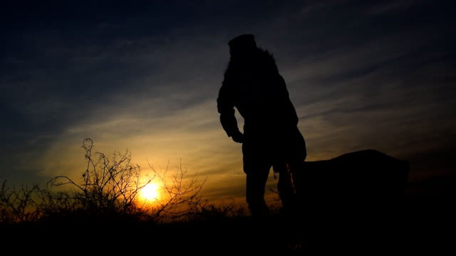 Một lý do khác được cho là vì liễu là loại cây phổ biến, dễ sinh sống. Loài cây này thường được những gia đình bình thường mua để trồng bên cạnh ngôi mộ của người dân. Trong khi đó, những người giàu có thường trồng các loại cây như tùng, bách... bên cạnh mộ.