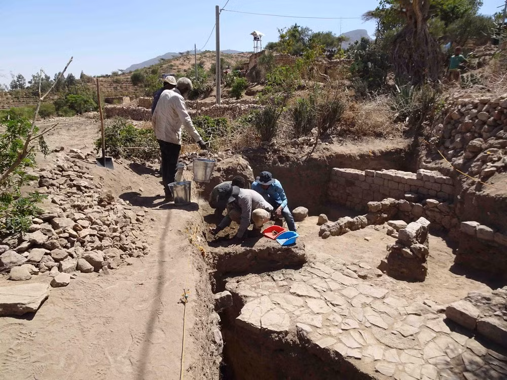 Các chuyên gia nhận định hai chiếc nhẫn hổ phách trong mộ của người đàn ông này vô cùng quý hiếm. Chúng được tìm thấy ở ngón tay trên bàn tay phải và bàn tay trái.