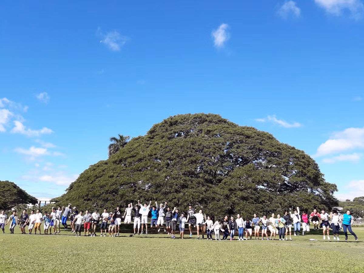 Theo nội dung đạo luật, chỉ khi nào chính quyền thành phố Honolulu cho phép thì "cây Hitachi" mới bị đốn hạ.