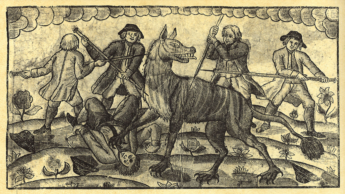 Khi mổ bụng con sói này, người ta phát hiện bên trong có một số phần thi thể của các nạn nhân. Từ đây, họ xác định con sói đó chính là thủ phạm gây ra hàng loạt vụ án mạng ở vùng Gevaudan suốt vài năm qua.