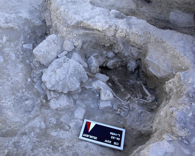 Vào tháng 12/2021, các nhà khảo cổ lần đầu tiên khai quật được hài cốt một người đàn ông trẻ và một con chó chết trong trận sóng thần sau thảm họa phun trào núi lửa Thera.