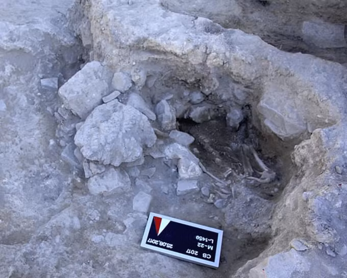 Vào tháng 12/2021, các nhà khảo cổ lần đầu tiên khai quật được hài cốt một người đàn ông trẻ và một con chó chết trong trận sóng thần sau thảm họa phun trào núi lửa Thera.