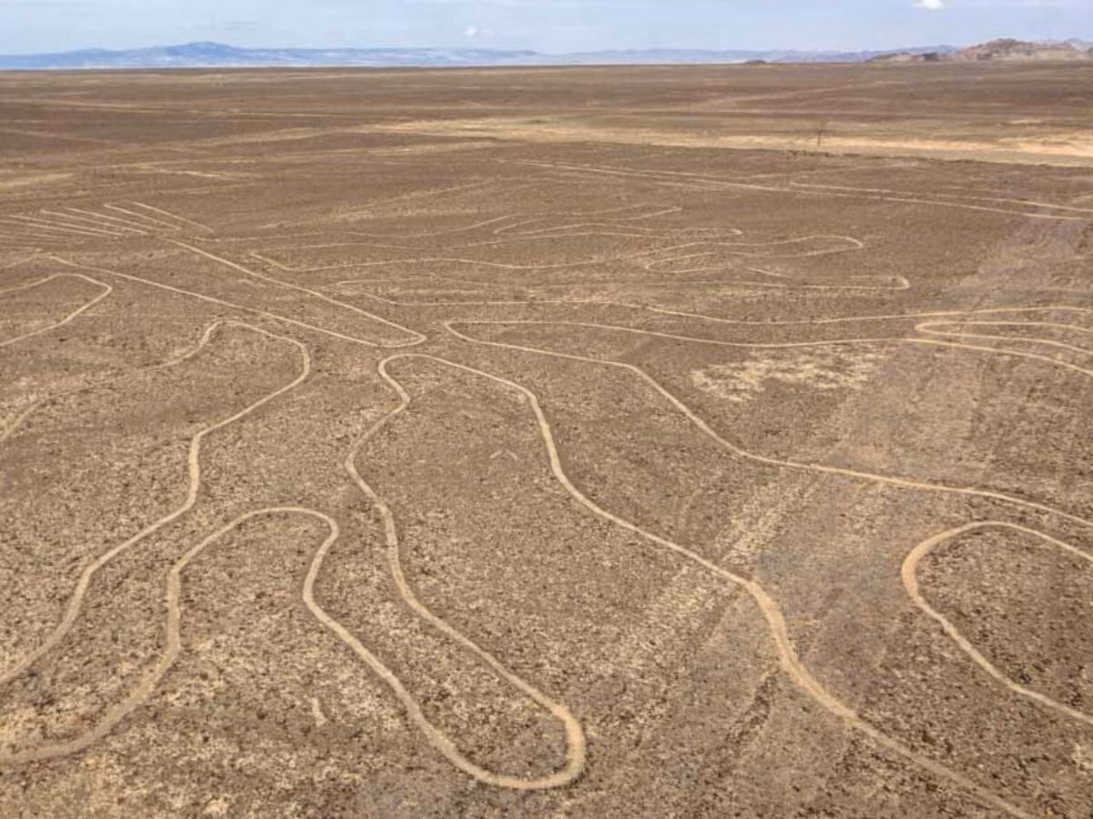Đặc biệt, một giả thuyết cho rằng, geoglyph bí ẩn trên sa mạc Nazca do người ngoài hành tinh tạo ra.
