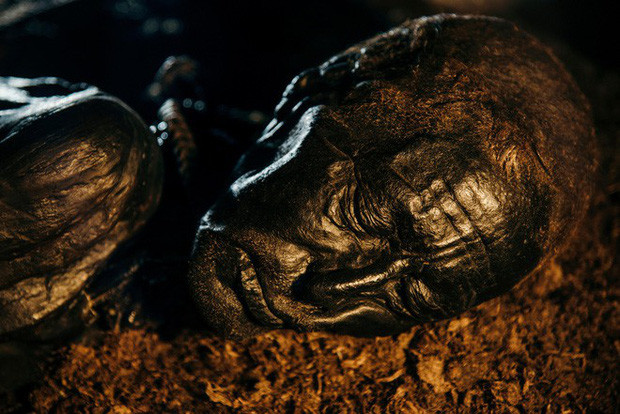 Các kiểm tra cho thấy Tollund Man qua đời khi khoảng 30 - 40 tuổi. Người này chết trong một nghi thức hiến tế người.