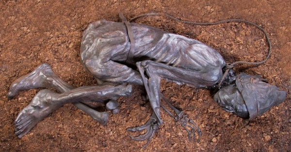 Thêm nữa, các chuyên gia phát hiện khi còn sống, Tollund Man nhiễm giun tóc và giun sán. Họ cũng phát hiện bữa ăn cuối cùng của người đàn ông này là món cháo.