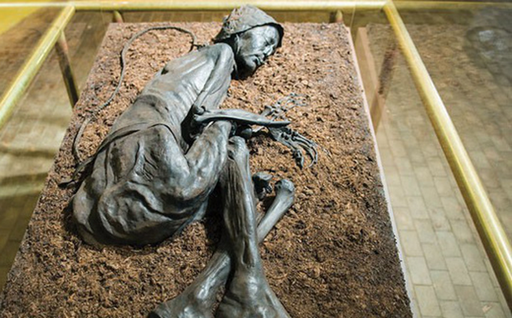 Vì vậy, gia đình trên gọi điện thông báo cho cảnh sát. Do đó, cảnh sát và các chuyên gia tới hiện trường điều tra.