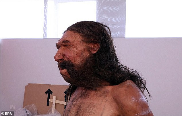 Răng cửa của Altamura Man lớn hơn răng của người hiện đại. Người này thường dùng răng cửa như một "bàn tay thứ ba" để cắn xé thịt.