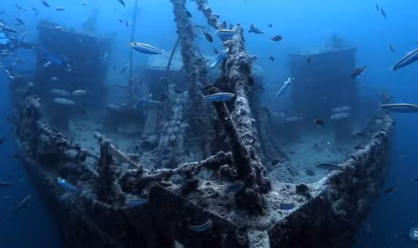 Thế chiến 2 là một trong những cuộc chiến khốc liệt và đẫm máu nhất lịch sử. Trong những cuộc chiến trên biển, hàng nghìn tàu chiến bị đánh đắm và chìm xuống biển. Theo đó, nhiều xác tàu chiến "ngủ vùi" dưới nước suốt nhiều thập kỷ qua.