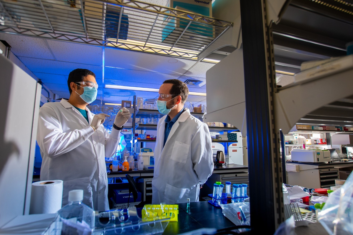 Theo đó, việc phát triển vắc xin động lạnh đem đến nhiều lợi ích. Vắc xin có công thức màu xanh bạc hà được khử nước và ổn định ở nhiệt độ phòng (và thậm chí nhiệt độ cao hơn) trong ít nhất 1 tuần.