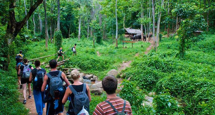 Toàn bộ số động vật hoang dã trên đều thuộc nhóm IB và nhóm IIB. Chúng đều là các loài nguy cấp quý hiếm theo Nghị định 84/2021/NĐ-CP.