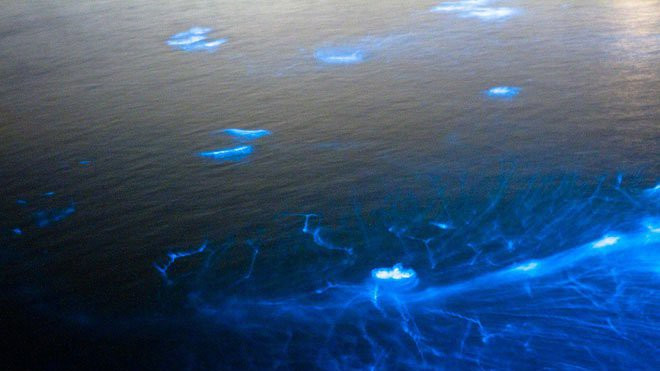 Giống như lúc xuất hiện, "ma trơi" đột ngột biến mất vào hư không. Sau khi bình tĩnh trở lại, nhiều người từng gặp "ma trơi" vẫn không thể quên sự việc kỳ bí đã trải qua.