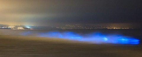 Khi bị "ma trơi" bám theo, một số người lo lắng, sợ hãi, thậm chí tìm cách chạy thật nhanh để thoát khỏi tình huống này. Trong lúc bỏ chạy, không ít người bị vấp ngã.