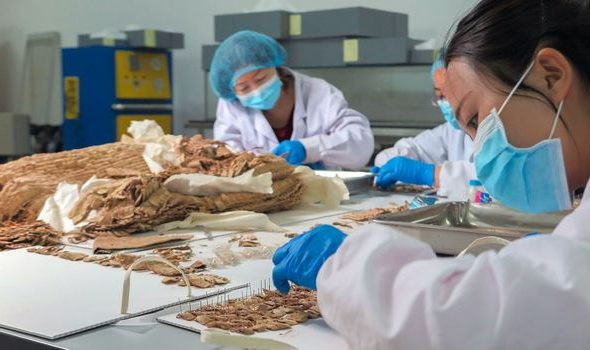 Nguyên do là bởi bộ giáp trên có các vảy da chồng lên nhau giống như vảy cá nhằm "tăng cường sức mạnh cho cơ thể con người để chống lại những cú ra đòn mạnh, đâm và bắn.