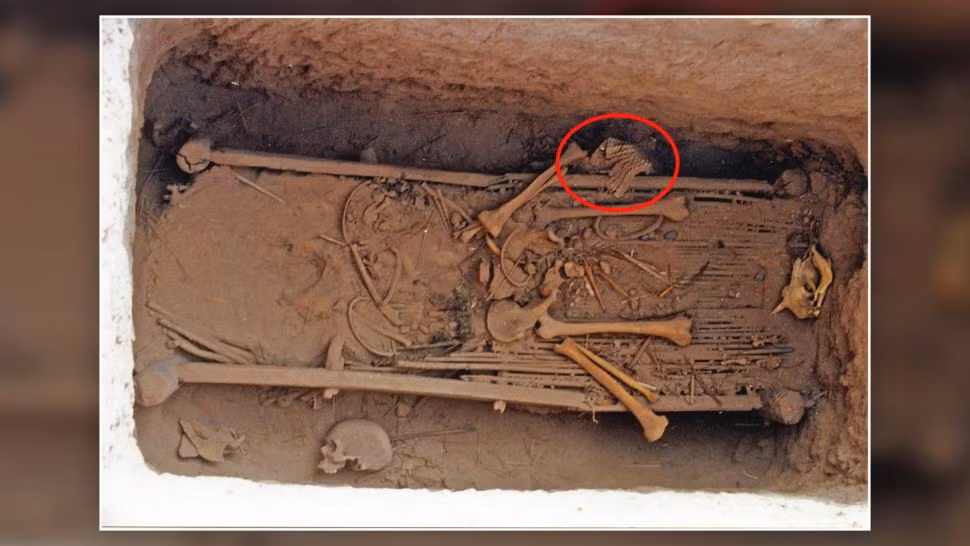 Vào khoảng 2.500 năm trước, một người đàn ông ở Tây Bắc Trung Quốc được chôn cất trong ngôi mộ với bộ áo giáp làm từ hơn 5.000 vảy da. Với thiết kế phức tạp, áo giáp giống như vảy cá.