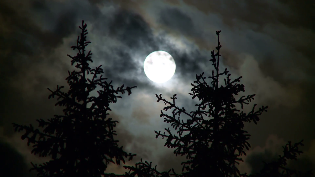 Dù vậy, các chuyên gia vẫn chưa thể tìm ra núi lửa nào đã phun trào và gây ra vụ việc bí ẩn trên. Một số chuyên gia hoài nghi "thủ phạm" có thể là núi lửa Asama ở miền trung Nhật Bản ngày nay.