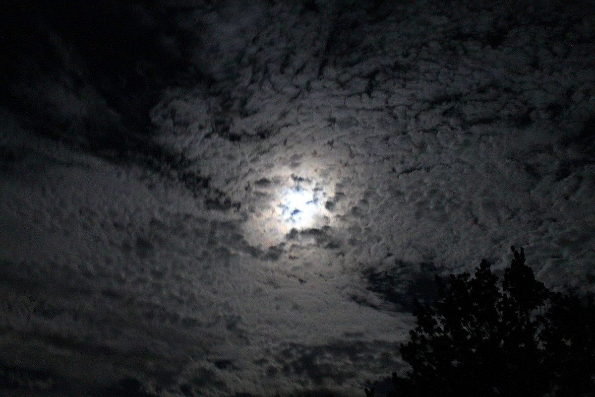 Theo quan điểm này, một vụ phun trào núi lửa xảy ra khiến tro bụi, các vật chất bắn lên không trung. Những thứ này có thể tồn tại trong nhiều năm sau đó và tạo ra thứ gọi là tấm màn che tầng bình lưu.