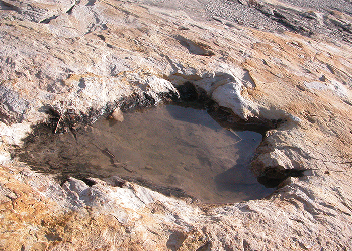 Từ những dấu chân khủng long với kích thước khổng lồ, các chuyên gia giải mã được một số bí mật về loài động vật này.