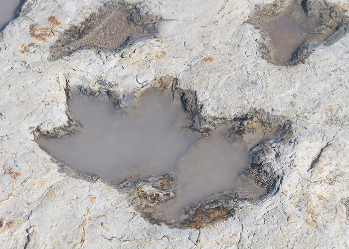 Khi ấy, một trận lũ lớn cuốn trôi lớp phù sa trên mặt ở khu vực công viên bang Clayton Lake. Sự việc này để lộ lớp đá có niên đại khoảng 100 năm tuổi.