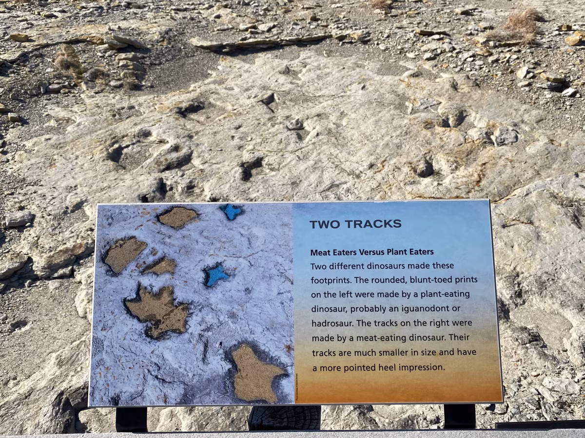 Một số dấu chân giúp các chuyên gia phát hiện bí mật thú vị là có những con khủng long bị trượt chân trong bùn lầy. Sau đó, con vật lấy lại thăng bằng và tiếp tục di chuyển.