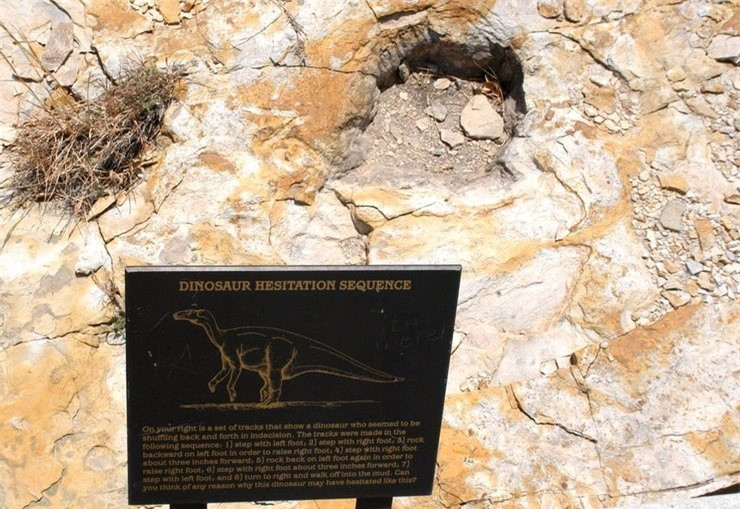 Những dấu chân khủng long được phát hiện lần đầu ở công viên bang Clayton Lake là vào những năm 1980.