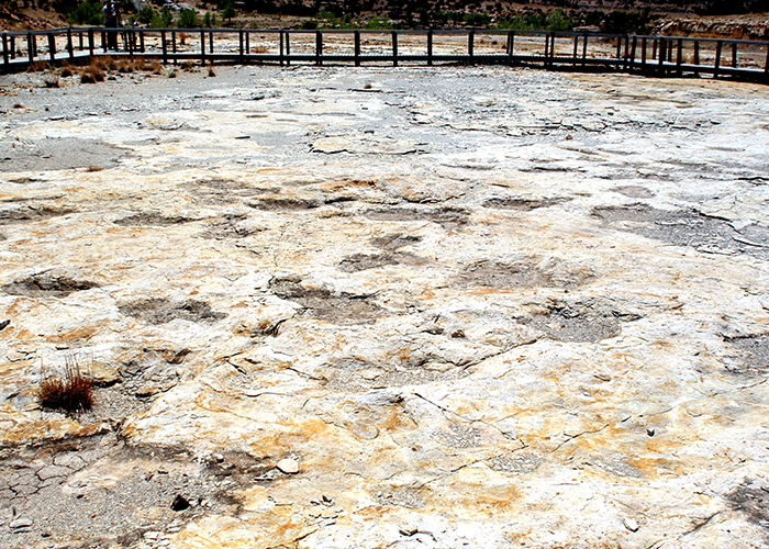 Theo các chuyên gia, các dấu chân khủng long được phát hiện ở công viên bang Clayton Lake được bảo tồn nguyên vẹn. Tất cả có niên đại khoảng 100 triệu năm.